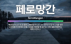 🌟페로망간: ‘페로망가니즈’의 전 용어. (페로망가니즈: 25~80%의 망가니즈를 섞은 누런빛을 띤 흰색의... - 표준국어대사전