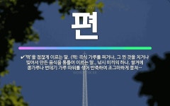 🌟편: ‘떡’을 점잖게 이르는 말. (떡: 곡식 가루를 찌거나, 그 찐 것을 치거나 빚어서 만든 음식을 통... - 표준국어대사전