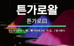 🌟튼가로왈: 한자 부수의 하나. ‘彗’, ‘彝’ 따위에 쓰인 ‘彐(彑, )’을 이른다. - 표준국어대사전 🌟튼가로왈: 한자 부수의 하나. ‘彗’... 