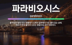 🌟파라비오시스: 둘 이상의 살아 있는 동물체가 신체의 일부에서 서로 붙어 있는 상태. 허리가 한데 붙어서 ... - 표준국어대사전