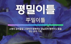 🌟평밀이틀: 소형의 공작물을 고정하여 왕복하는 칼날로써 평면이나 홈을 깎는 공작 기계. - 표준국어대사전