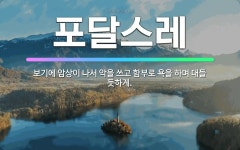 🌟포달스레: 보기에 암상이 나서 악을 쓰고 함부로 욕을 하며 대들 듯하게. - 표준국어대사전