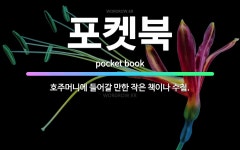 🌟포켓북: 호주머니에 들어갈 만한 작은 책이나 수첩. - 표준국어대사전