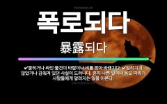🌟폭로되다: 묻히거나 싸인 물건이 바람이나 비를 맞아 바래지다., 알려지지 않았거나 감춰져 있던 사실이 드... - 표준국어대사전