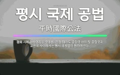 🌟평시 국제 공법: 평화 시에 행하여지는 국제법. 전쟁 때라도 중립국 사이 및 중립국과 교전국 사이에서는 ... - 표준국어대사전