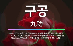 🌟구공: 천자(天子)의 아홉 가지 선정(善政). 백성들 생활의 근본이 되는 화(火)ㆍ수(水)ㆍ목(木)ㆍ금(... - 표준국어대사전