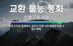🌟교환 불능 통화: 국제 수지의 결제에서, 금이나 다른 나라 화폐와 바꿀 수 없는 화폐. - 표준국어대사전
