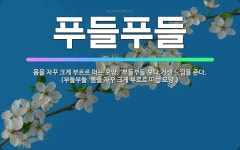 🌟푸들푸들: 몸을 자꾸 크게 부르르 떠는 모양. ‘부들부들’보다 거센 느낌을 준다. (부들부들: 몸을 자꾸... - 표준국어대사전