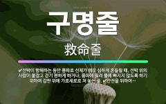 🌟구명줄: 안전을 위하여 구명정의 주위나 잠수자의 몸에 매는 줄., 선박이 항해하는 동안 풍파로 선체가 매... - 표준국어대사전