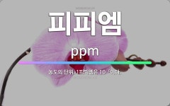 🌟피피엠: 농도의 단위. 1피피엠은 10－6이다. - 표준국어대사전