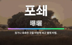 🌟포쇄: 젖거나 축축한 것을 바람에 쐬고 볕에 바램. - 표준국어대사전