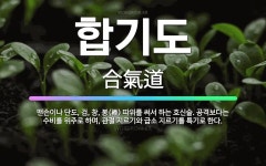 🌟합기도: 맨손이나 단도, 검, 창, 봉(棒) 따위를 써서 하는 호신술. 공격보다는 수비를 위주로 하며, ... - 표준국어대사전