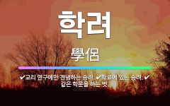 🌟학려: 같은 학문을 하는 벗., 교리 연구에만 전념하는 승려., 학료에 있는 승려. - 표준국어대사전