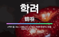 🌟학려: 학이 욺. 또는 그 울음소리., 가엾고 처량한 문장이나 말을 비유적으로 이르는 말. - 표준국어대사전