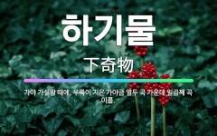 🌟하기물: 가야 가실왕 때에, 우륵이 지은 가야금 열두 곡 가운데 일곱째 곡 이름. - 표준국어대사전