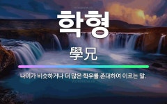 🌟학형: 나이가 비슷하거나 더 많은 학우를 존대하여 이르는 말. - 표준국어대사전