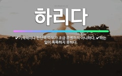 🌟하리다: 하는 일이 똑똑하지 못하다., 기억력이나 판단력 따위가 조금 분명하지 아니하다. - 표준국어대사전