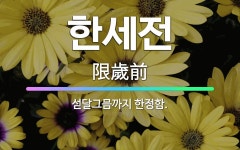 🌟한세전: 섣달그믐까지 한정함. - 표준국어대사전