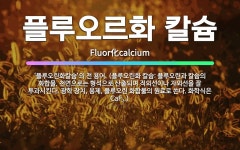 🌟플루오르화 칼슘: ‘플루오린화칼슘’의 전 용어. (플루오린화 칼슘: 플루오린과 칼슘의 화합물. 천연으로는... - 표준국어대사전
