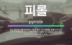 🌟피롤: 질소 원자 한 개를 함유하는 5원자 복소 고리 화합물. 꽃향기가 나는 무색의 액체로 공기에 닿으면... - 표준국어대사전