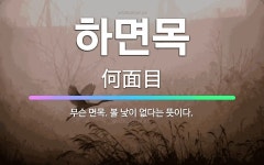 🌟하면목: 무슨 면목. 볼 낯이 없다는 뜻이다. - 표준국어대사전
