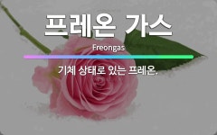 🌟프레온 가스: 기체 상태로 있는 프레온. - 표준국어대사전