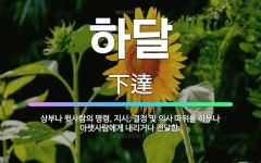 🌟하달: 상부나 윗사람의 명령, 지시, 결정 및 의사 따위를 하부나 아랫사람에게 내리거나 전달함. - 표준국어대사전
