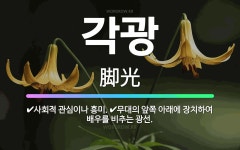 🌟각광: 사회적 관심이나 흥미., 무대의 앞쪽 아래에 장치하여 배우를 비추는 광선. - 표준국어대사전