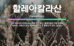 🌟할레아칼라산: 미국 하와이주 마우이섬 남쪽에 있는 화산. 할레아칼라 국립 공원에 속하며, 사화산으로는 세... - 표준국어대사전