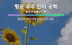 🌟항공 우주 전자 공학: 항공기나 우주선에 관련된 전자 공학. - 표준국어대사전