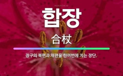 🌟합장: 장구의 북편과 채편을 한꺼번에 치는 장단. - 표준국어대사전