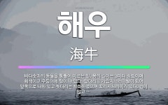 🌟해우: 바다솟과의 동물을 통틀어 이르는 말. 몸의 길이는 3미터 정도이며 회색이고 주둥이에 털이 나 있다... - 표준국어대사전