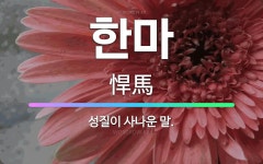 🌟한마: 성질이 사나운 말. - 표준국어대사전