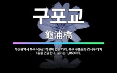 🌟구포교: 부산광역시 북구 낙동강 하류에 있는 다리. 북구 구포동과 강서구 대저 1동을 연결한다. 길이는 ... - 표준국어대사전