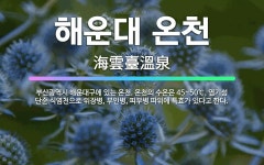 🌟해운대 온천: 부산광역시 해운대구에 있는 온천. 온천의 수온은 45~50℃, 염기성 단순 식염천으로 위장... - 표준국어대사전