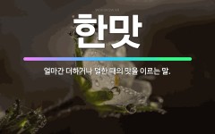 🌟한맛: 얼마간 더하거나 덜한 때의 맛을 이르는 말. - 표준국어대사전