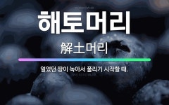 🌟해토머리: 얼었던 땅이 녹아서 풀리기 시작할 때. - 표준국어대사전