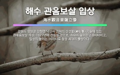 🌟해수 관음보살 입상: 강원도 양양군 강현면 낙산사 근처의 신선봉(神仙峯) 기슭에 있는 관세음보살 석상. ... - 표준국어대사전