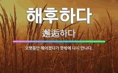 🌟해후하다: 오랫동안 헤어졌다가 뜻밖에 다시 만나다. - 표준국어대사전