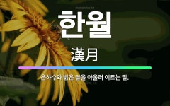 🌟한월: 은하수와 밝은 달을 아울러 이르는 말. - 표준국어대사전