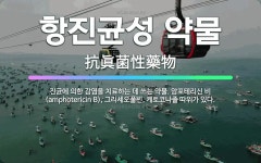 🌟항진균성 약물: 진균에 의한 감염을 치료하는 데 쓰는 약물. 암포테리신 비(amphotericin B),... - 표준국어대사전