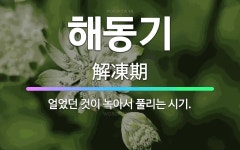 🌟해동기: 얼었던 것이 녹아서 풀리는 시기. - 표준국어대사전