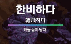 🌟한비하다: 하늘 높이 날다. - 표준국어대사전