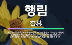 🌟행림: 살구나무가 무성하게 꽉 들어찬 곳., ‘의원’을 달리 이르는 말. 예전에 동봉(董奉)이라는 의원이... - 표준국어대사전