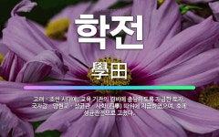 🌟학전: 고려ㆍ조선 시대에, 교육 기관의 경비에 충당하도록 지급한 토지. 국자감ㆍ양현고ㆍ성균관ㆍ사학(四學)... - 표준국어대사전
