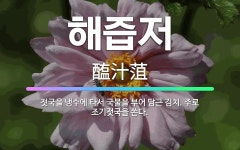 🌟해즙저: 젓국을 냉수에 타서 국물을 부어 담근 김치. 주로 조기젓국을 쓴다. - 표준국어대사전