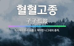 🌟혈혈고종: 객지에서 아주 외롭고 적막한 나그네의 종적. - 표준국어대사전