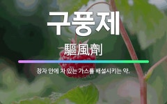 🌟구풍제: 창자 안에 차 있는 가스를 배설시키는 약. - 표준국어대사전