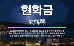 🌟현학금: 우리나라 현악기의 하나. 오동나무와 밤나무를 붙여 만든 장방형의 통 위에 명주실을 꼬아 만든 여... - 표준국어대사전