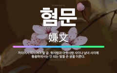 🌟혐문: 꺼리어서 피하여야 할 글. 윗사람과 아랫사람 사이나 남녀 사이에 통용하여서는 안 되는 말을 쓴 글... - 표준국어대사전